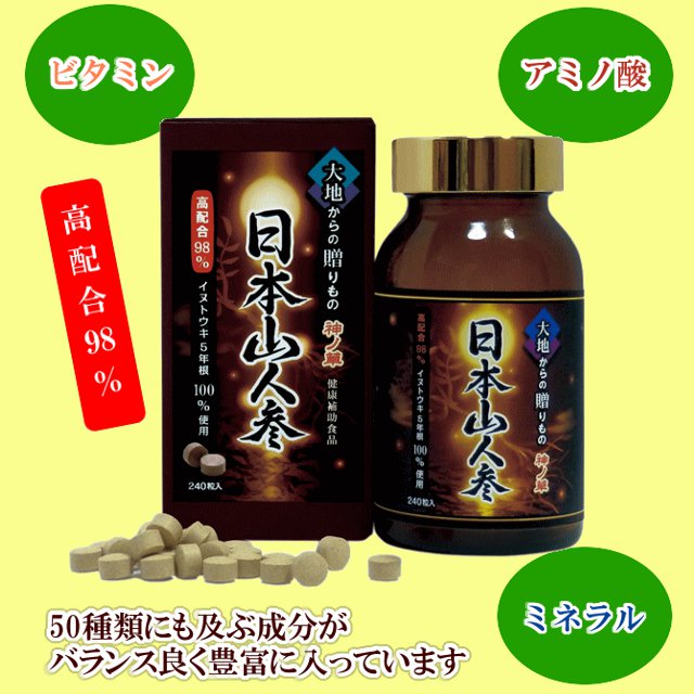 日本山人参（イヌトウキ） 5年根錠剤