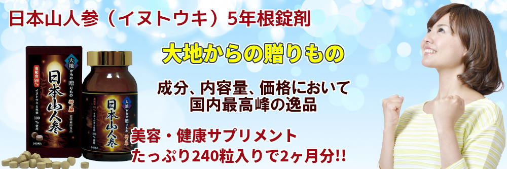 日本山人参（イヌトウキ） 5年根錠剤 240粒